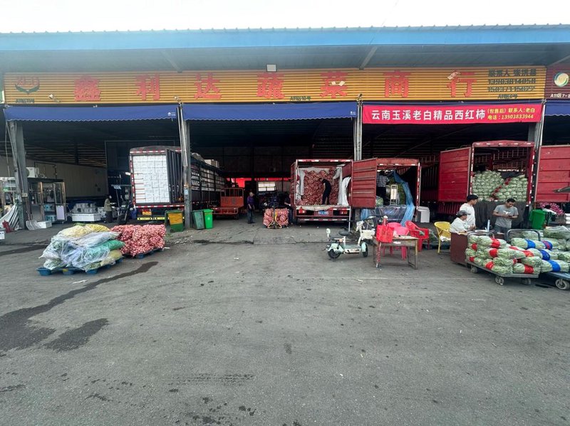 走进郴州粮油批发市场——探寻粮食与生活的融合
