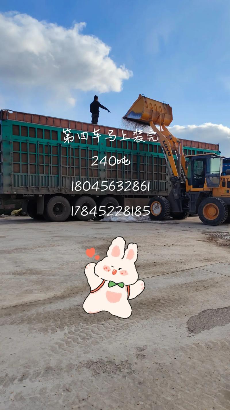 玉米黄豆收购