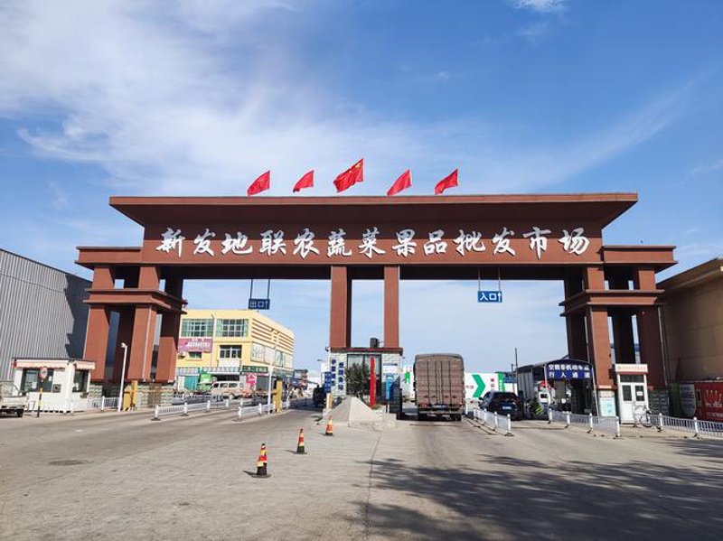 食用油市场动态：批发趋势与策略