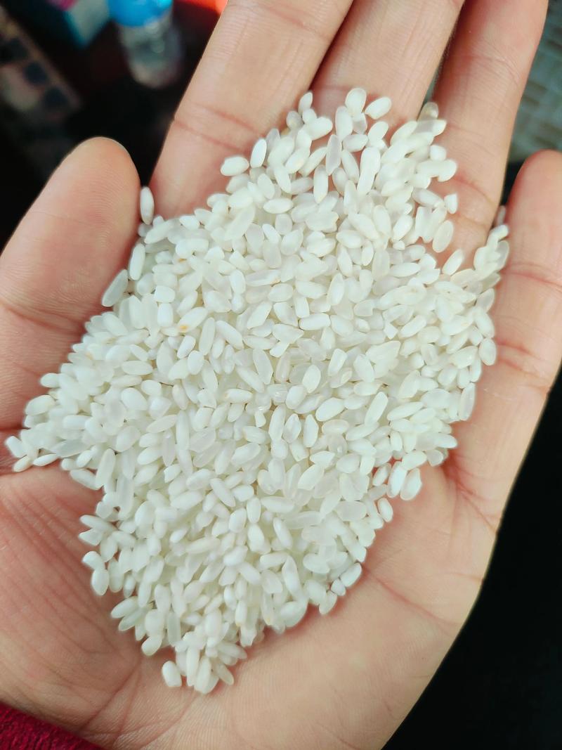 东北大米，一场绿色原野与舌尖的相遇