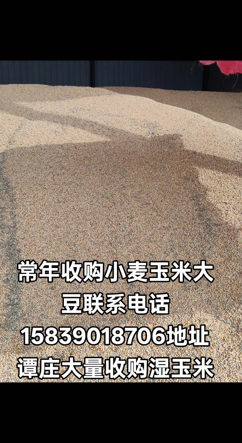 面粉批发市场的变化与趋势